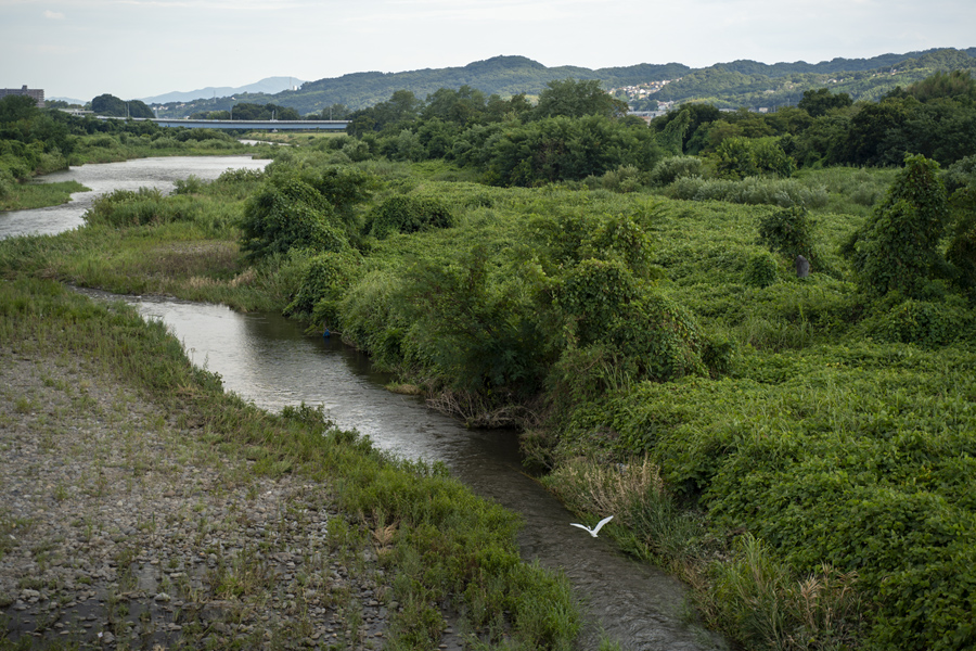 高崎