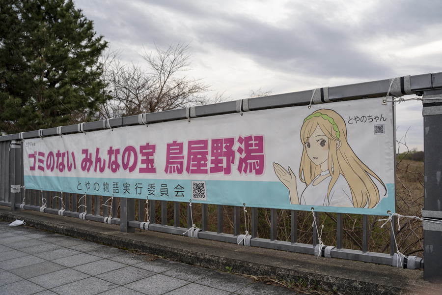 新潟